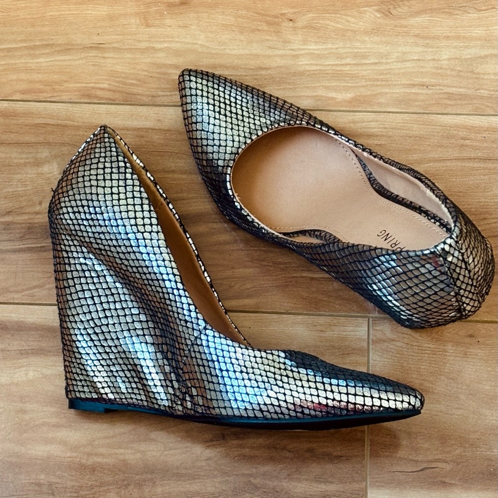 Silver Metallic Wedge Heels with Pointy Toe